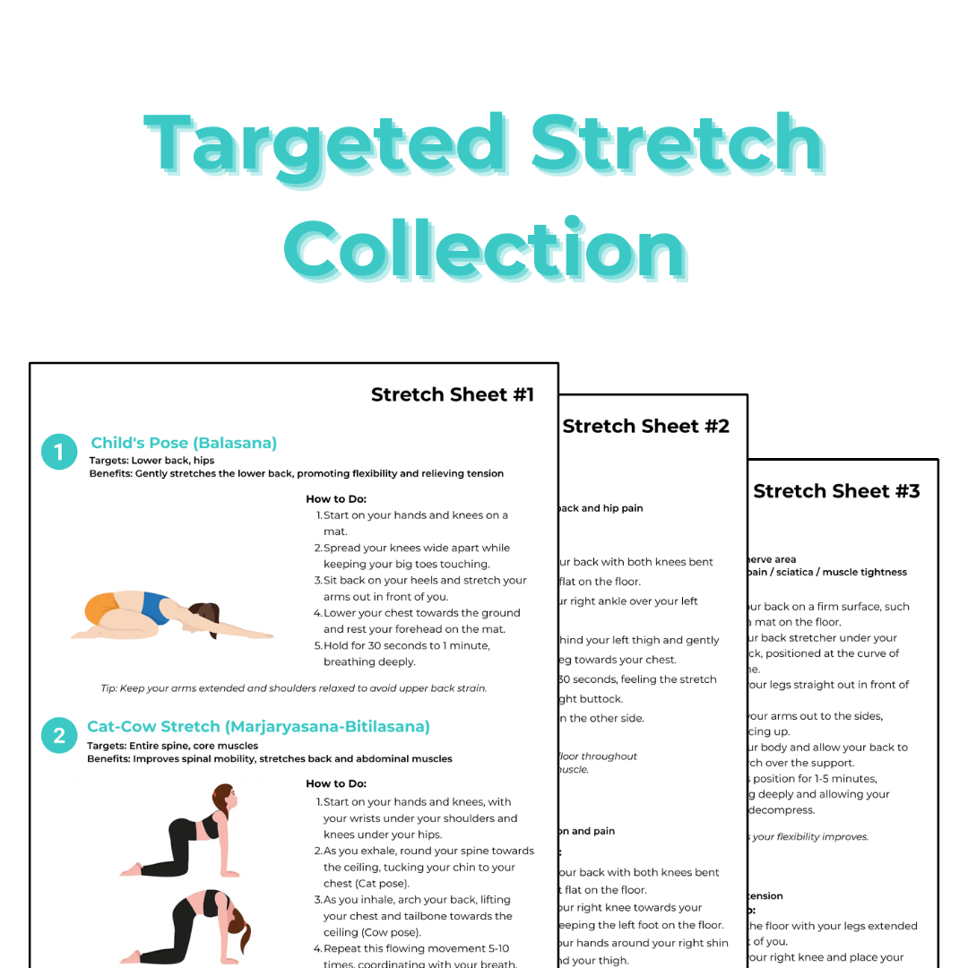 25-day Lower Back Pain Relief Stretch Routine (Digital Copy - Printable PDF)